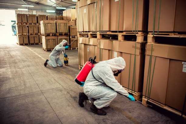 Best Pest Removal Services  in Port Edwards, WI