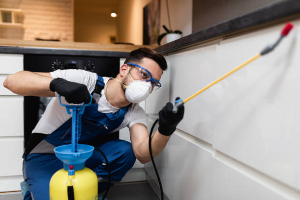 Best Mosquito Control Services  in Port Edwards, WI