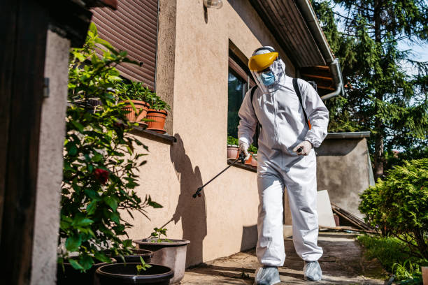 Best Affordable Pest Control Services  in Port Edwards, WI