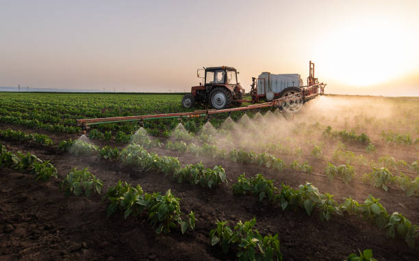 Best Pest Control for Businesses  in Port Edwards, WI
