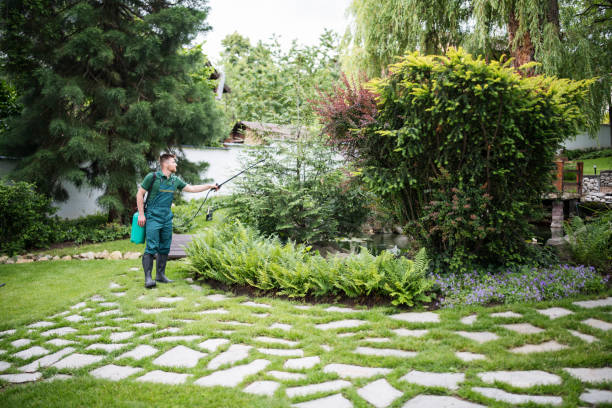 Best Wasp Removal Services  in Port Edwards, WI