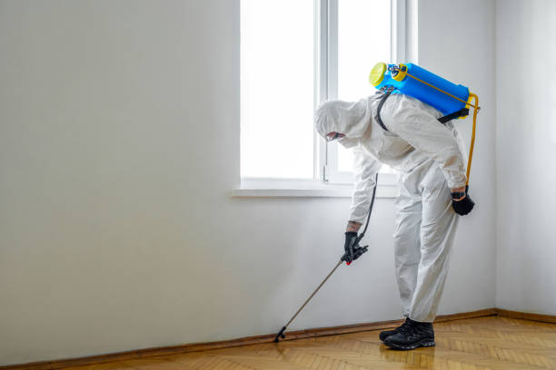 Best Ant Control Services  in Port Edwards, WI
