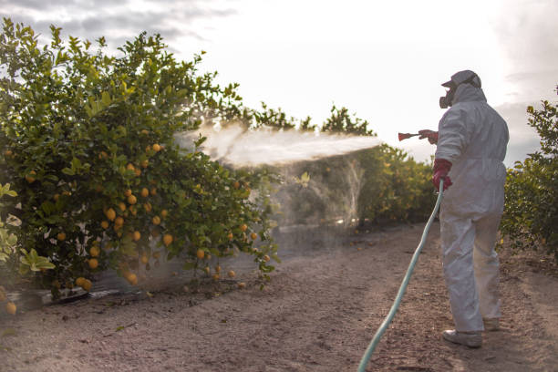 Best Affordable Pest Control Services  in Port Edwards, WI