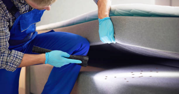 Best Cockroach Control Services  in Port Edwards, WI