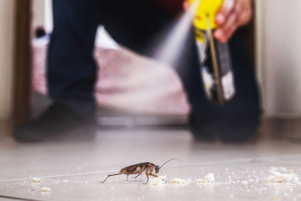 Best Exterminator Services  in Port Edwards, WI